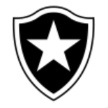 Botafogo U23 logo