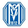 Nữ SV Meppen logo