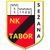 NK Tabor Sezana U19 logo