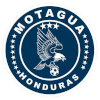 Motagua Reserves logo