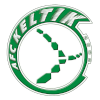 AFC Keltik logo