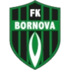 Viven Bornova logo