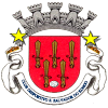 CD Sao Salvador logo