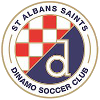 St Albans Saints U23 logo