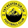 Tay Nguyen logo