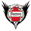 Llamas Kochi FC logo