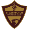 Stellenbosch FC logo