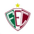 Fluminense PI (Trẻ) logo