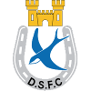 Dungannon Swifts Reserves logo