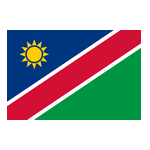 U20 Nữ Namibia logo