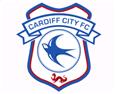 U23 Cardiff City logo