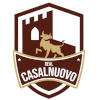 Real Casalnuovo logo